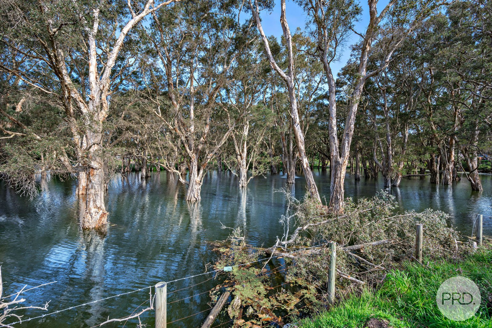 13 Lagoons Circuit NELSON BAY 12