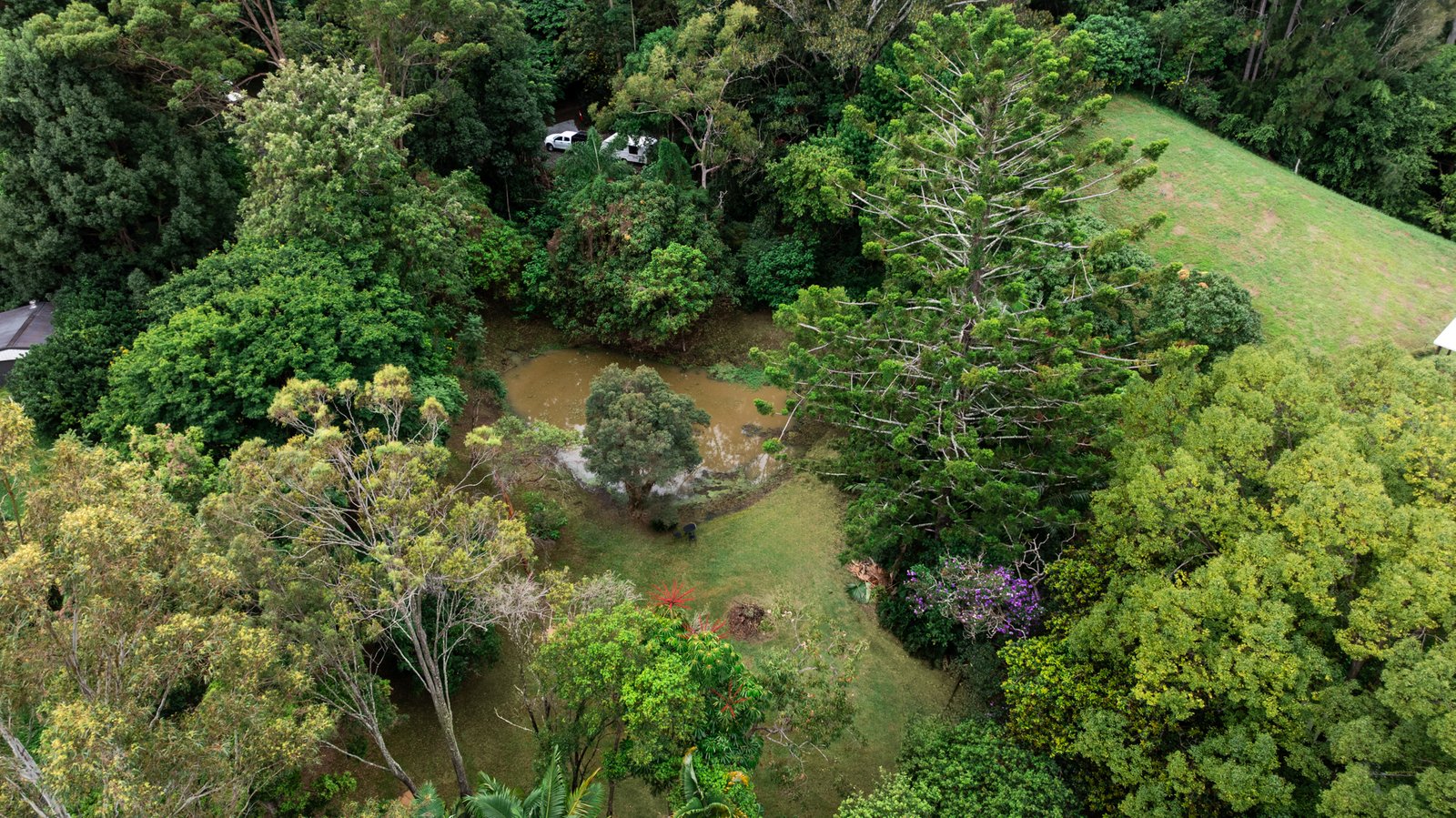 13 Lillee Court CURRUMBIN VALLEY 28