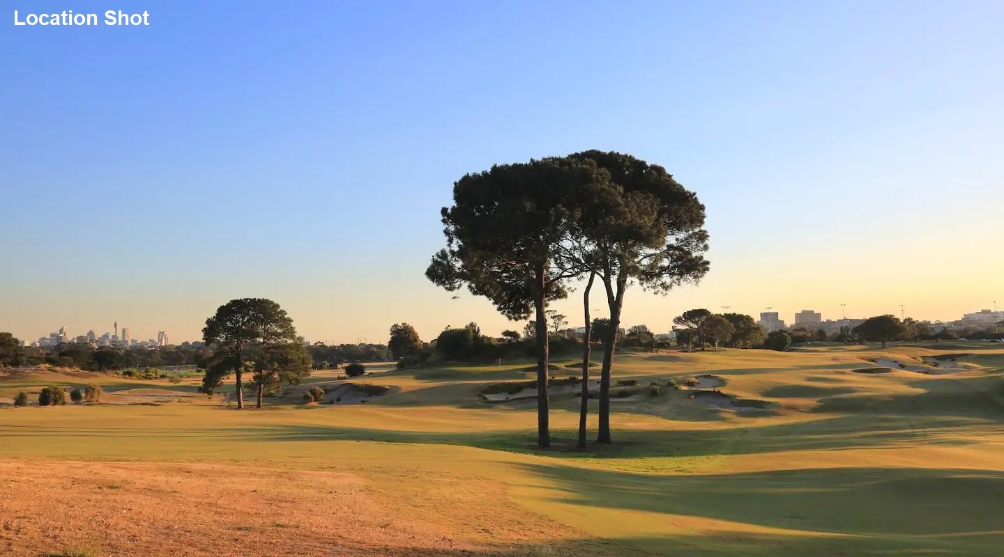 13 Maxwell Road PAGEWOOD 41