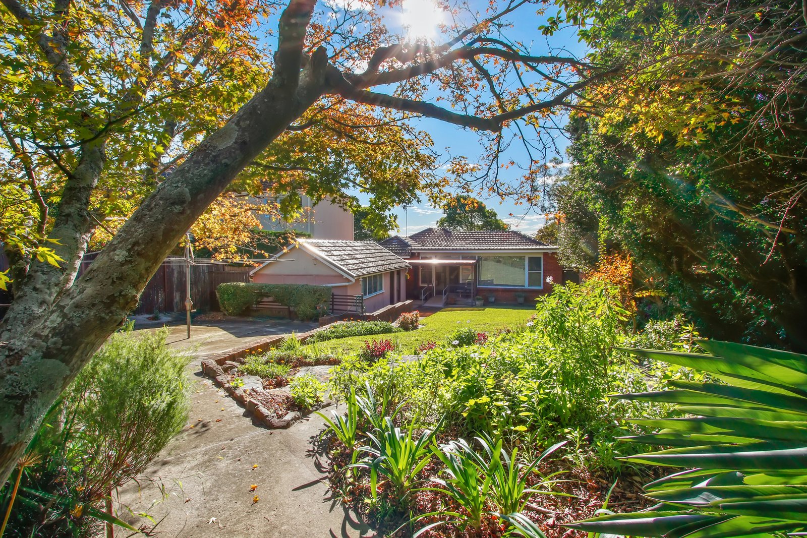 13 Oatley Park Avenue OATLEY 5