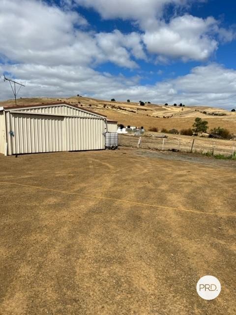 13 Ponsonby Street HAMILTON 2