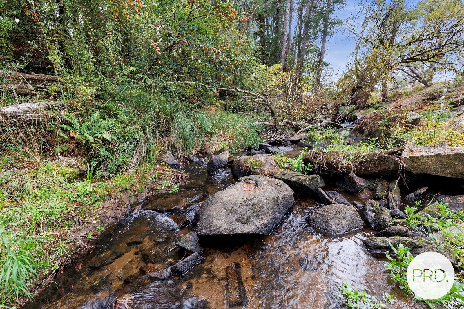 13 Pound Creek Road TUMBARUMBA 3