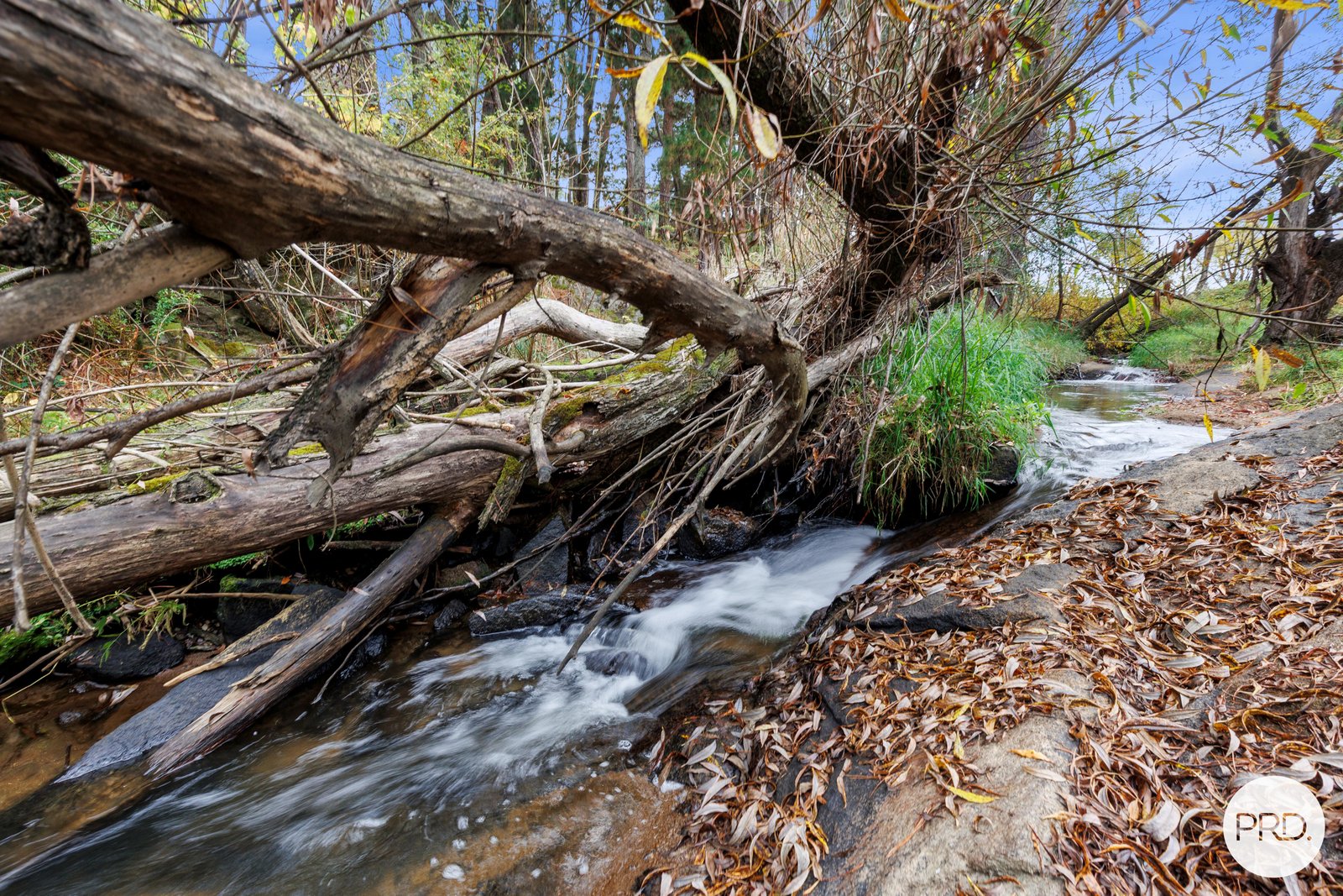 13 Pound Creek Road TUMBARUMBA 18