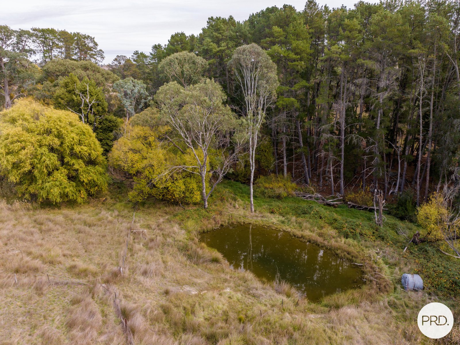 13 Pound Creek Road TUMBARUMBA 20