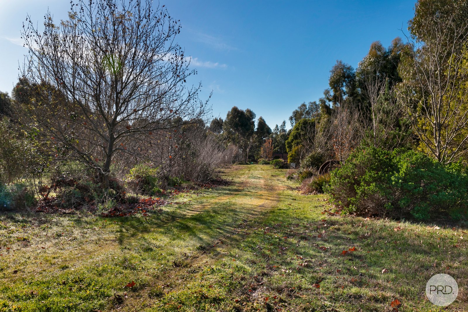 13 Ramon Close LISMORE 6