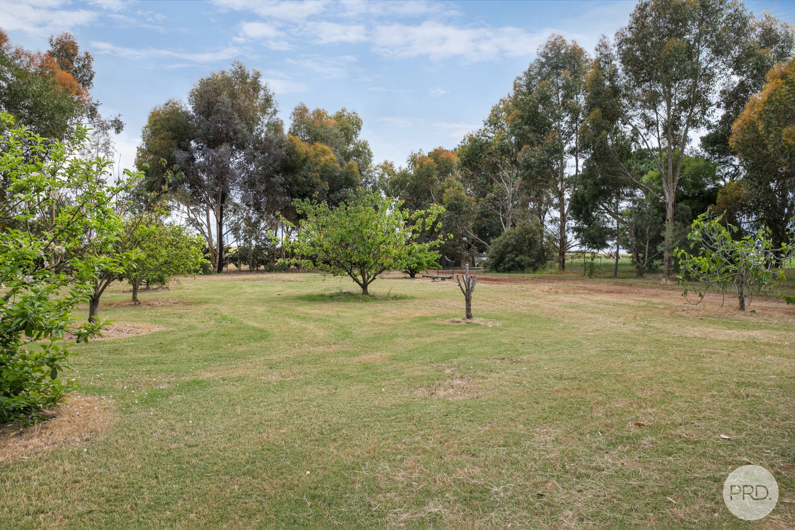 13 Ramon Close LISMORE 10
