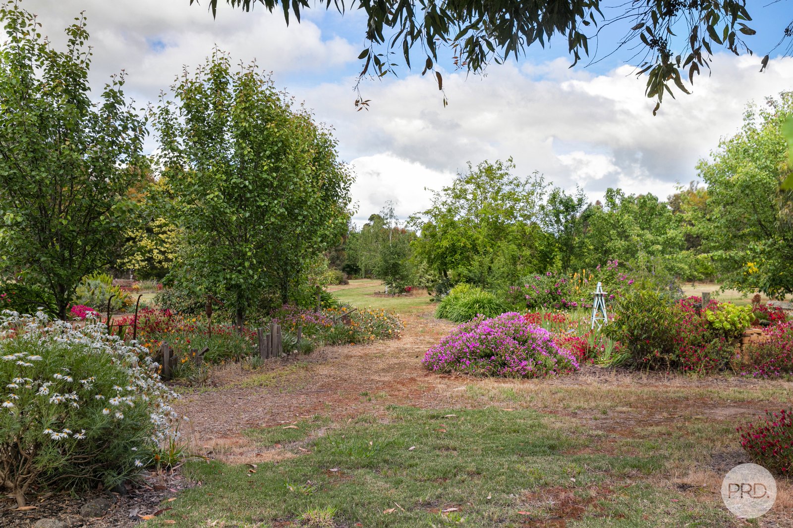 13 Ramon Close LISMORE 12