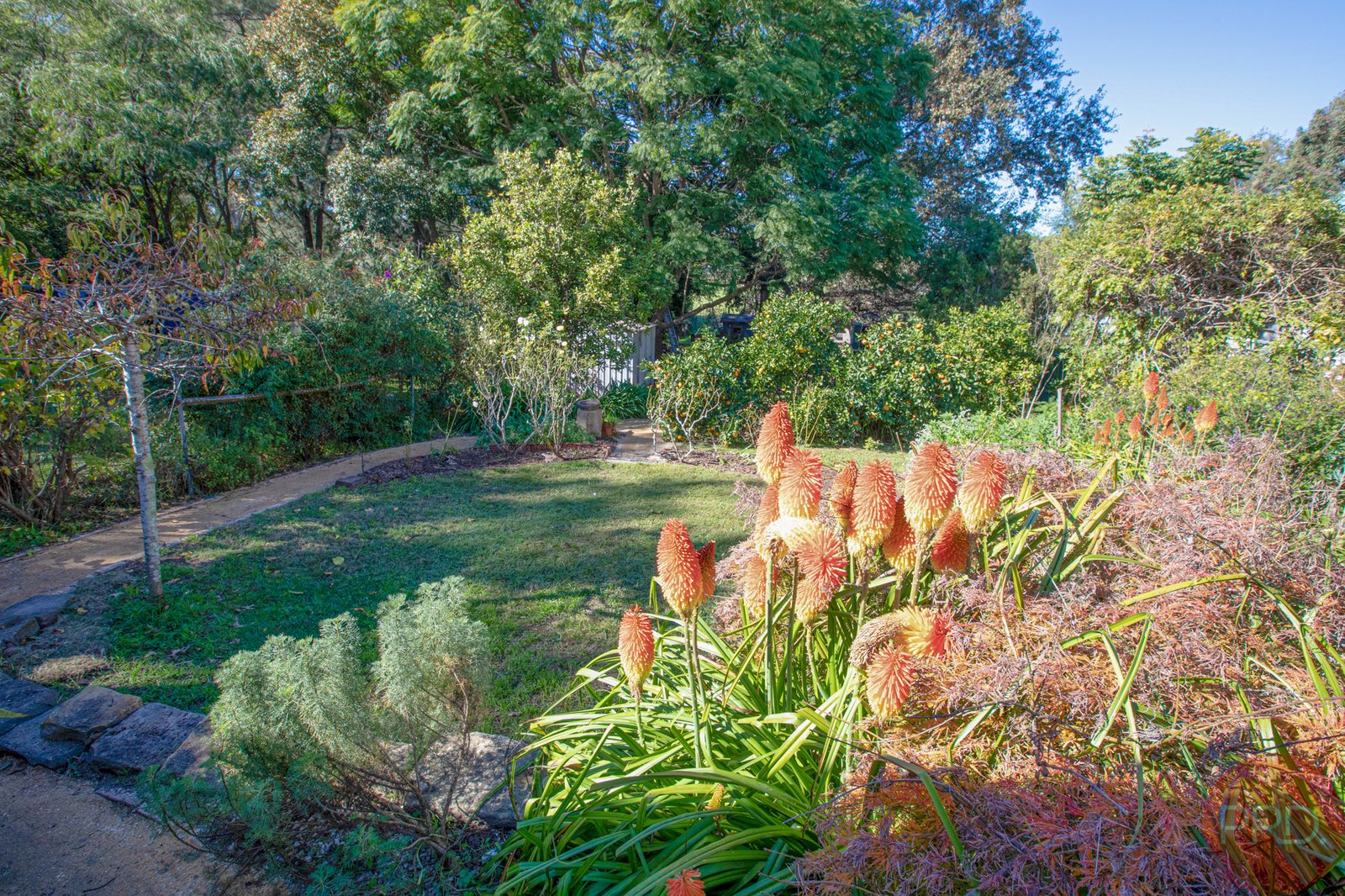 13 Regent Street MAITLAND 24