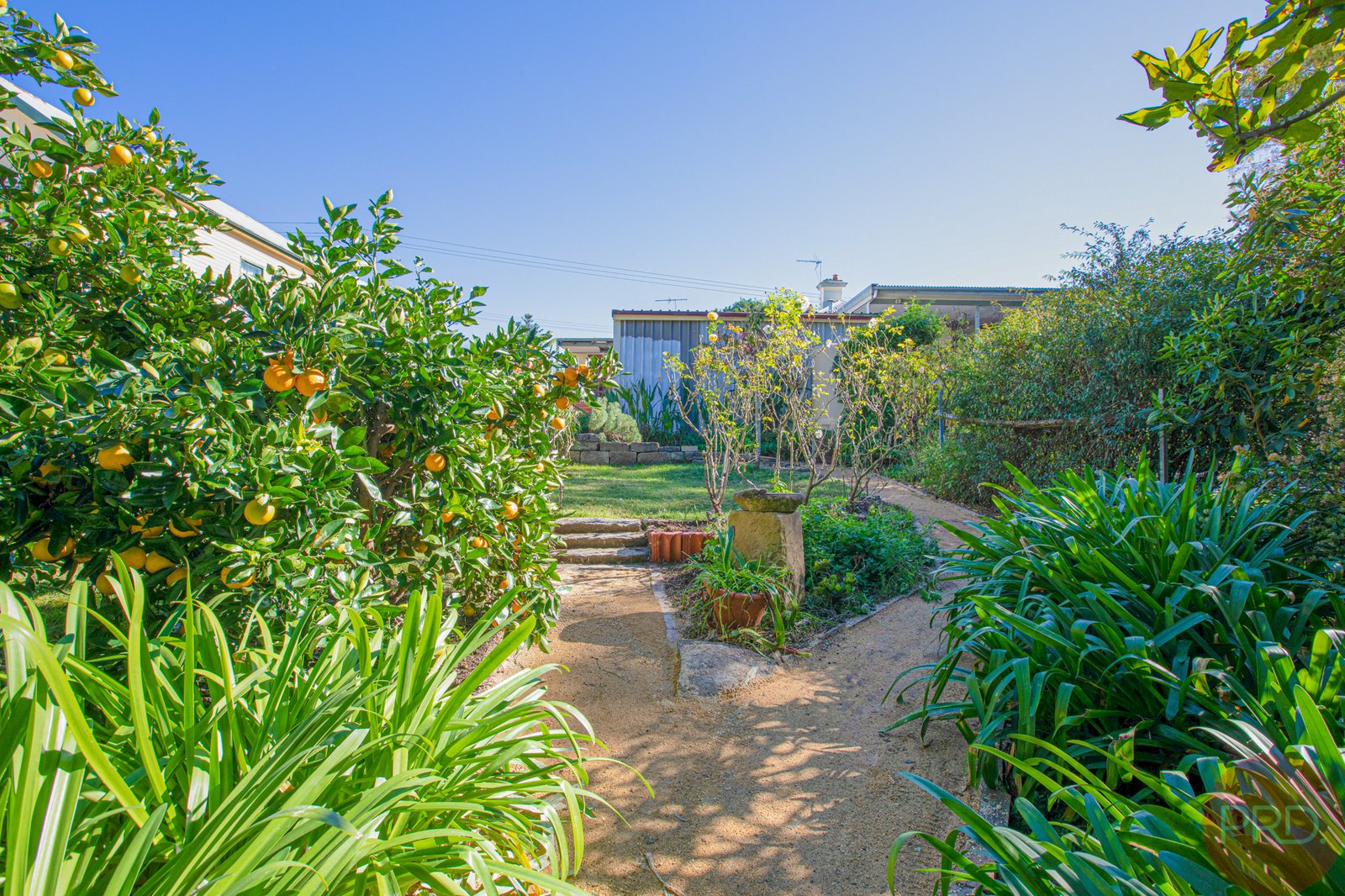 13 Regent Street MAITLAND 26