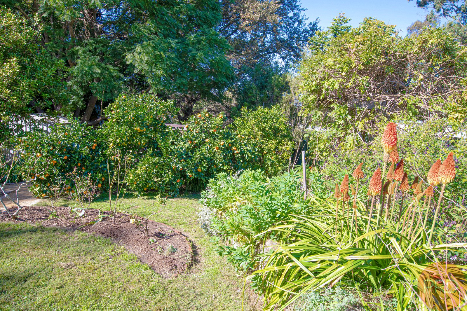 13 Regent Street MAITLAND 28