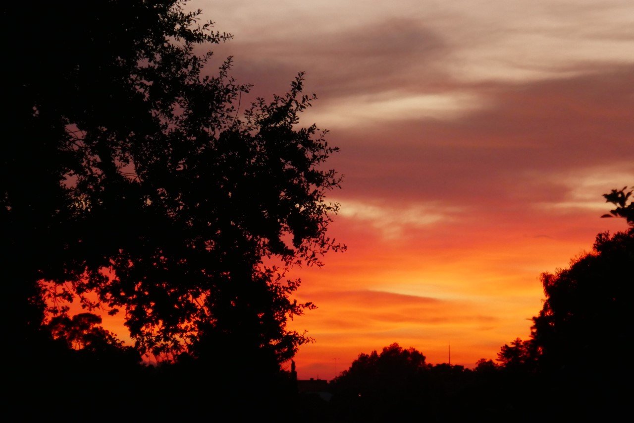 13 Regent Street MAITLAND 31