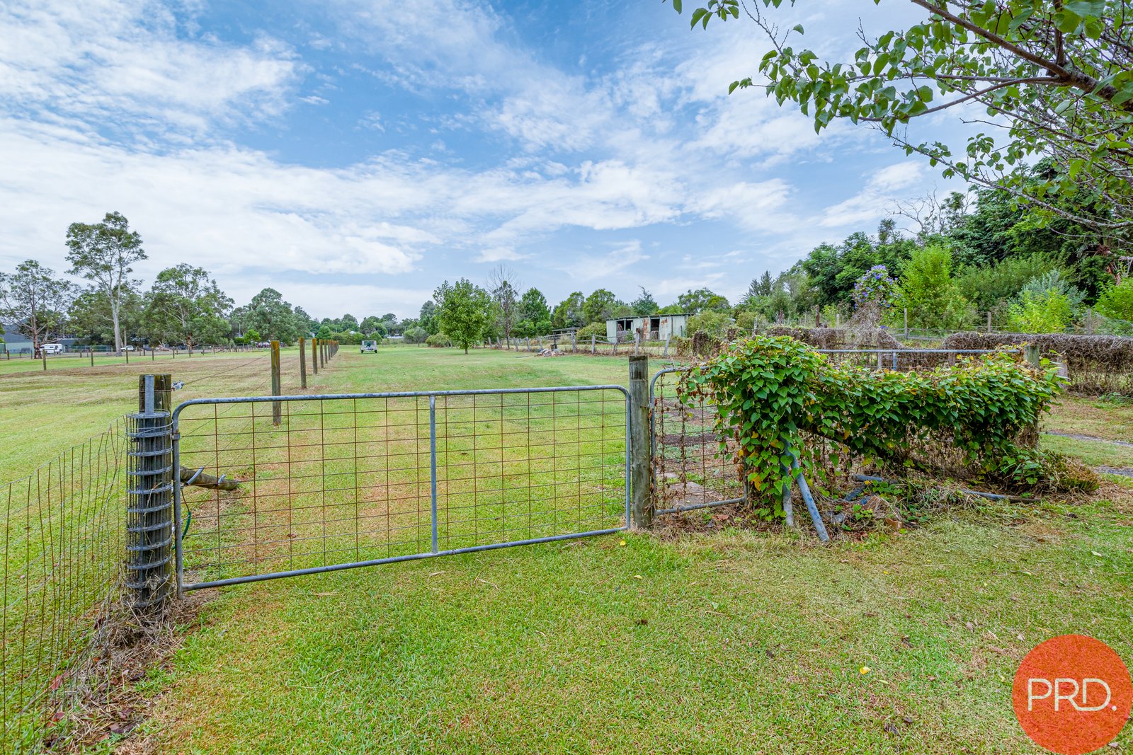 13 Regent Street MAITLAND 26