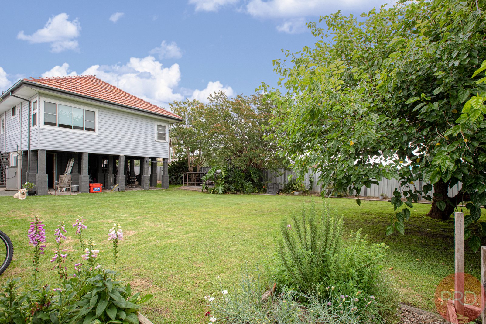 13 Riley Street EAST MAITLAND 15