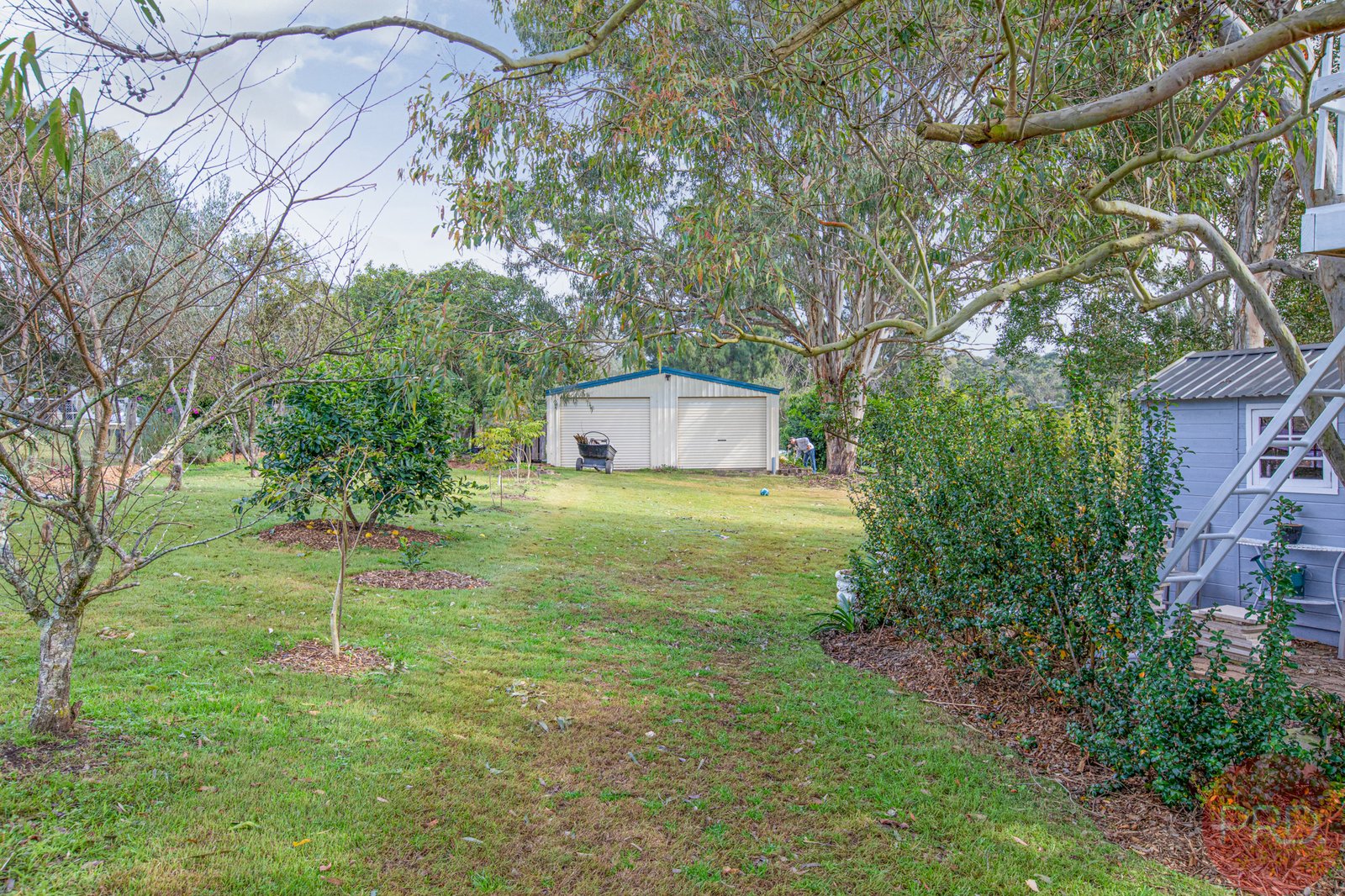 13 Riverview Road BOLWARRA HEIGHTS 31