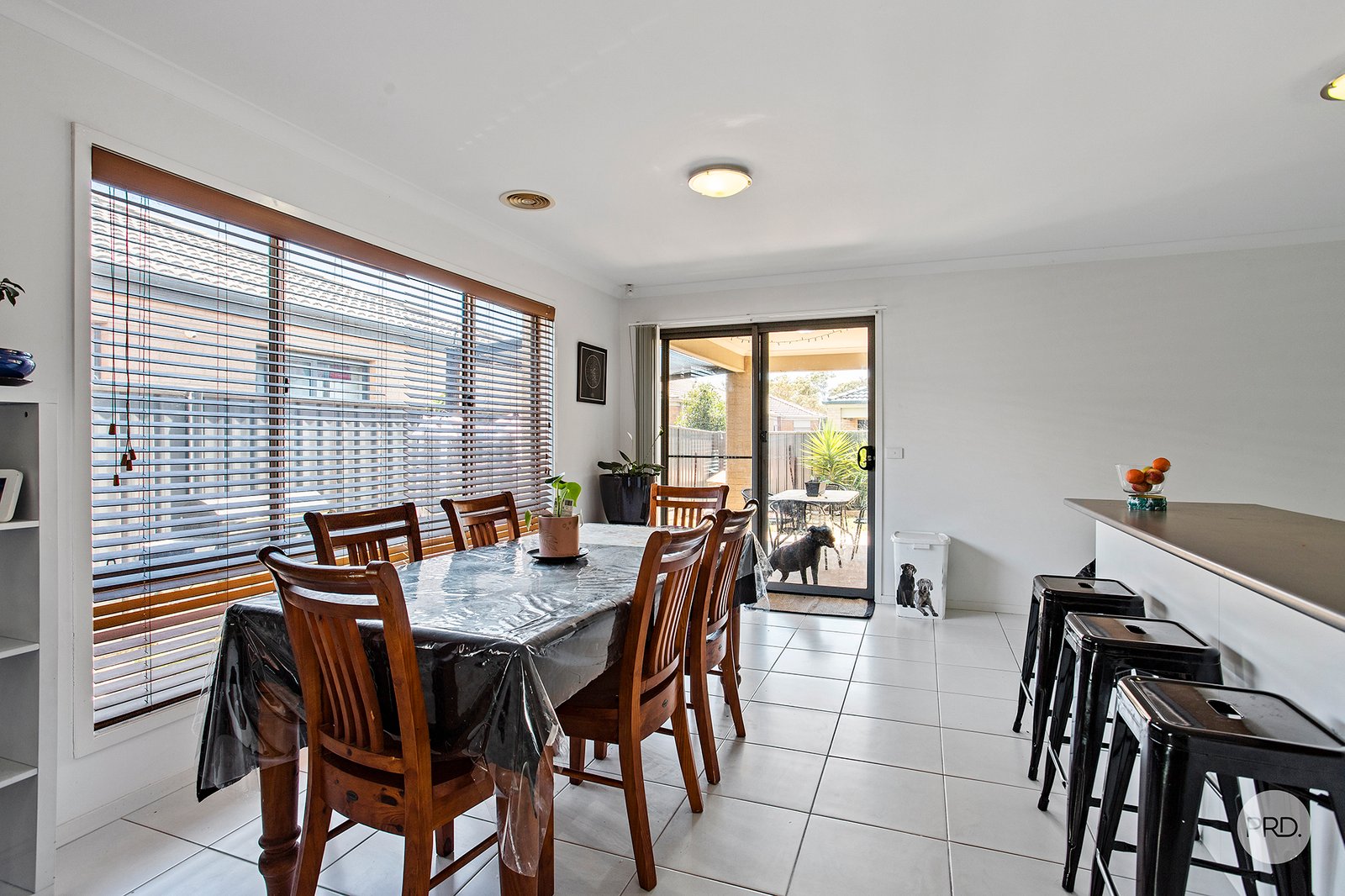 13 Saltbush Street JACKASS FLAT 4