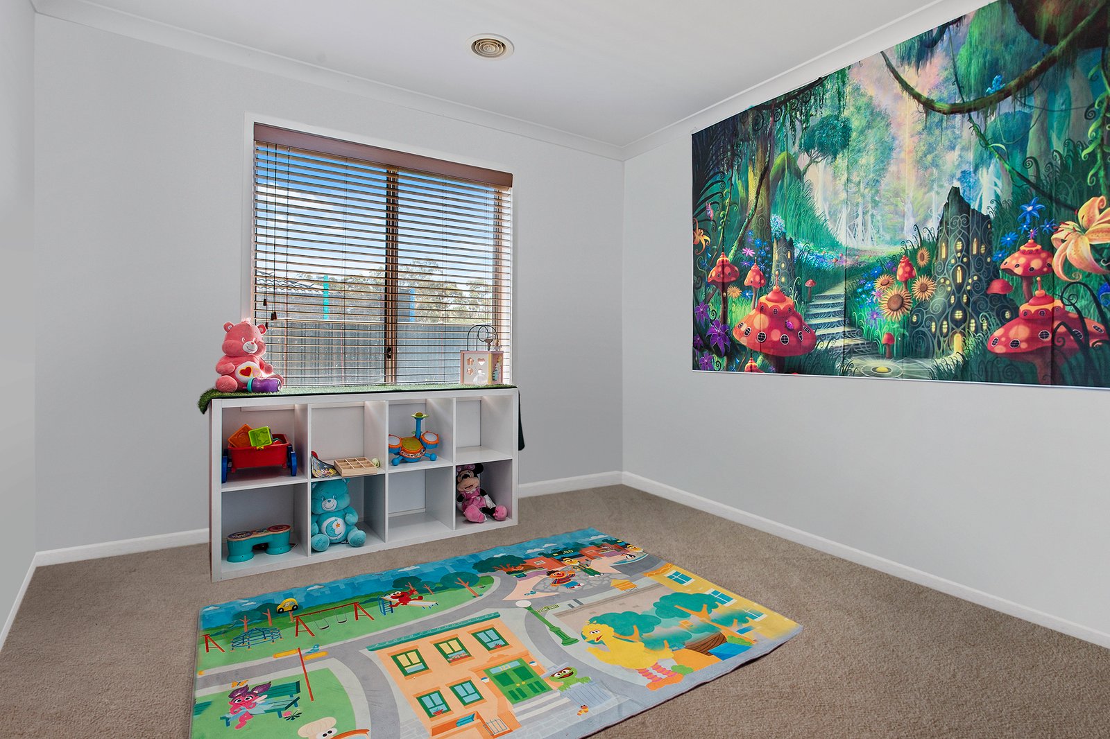 13 Saltbush Street JACKASS FLAT 10