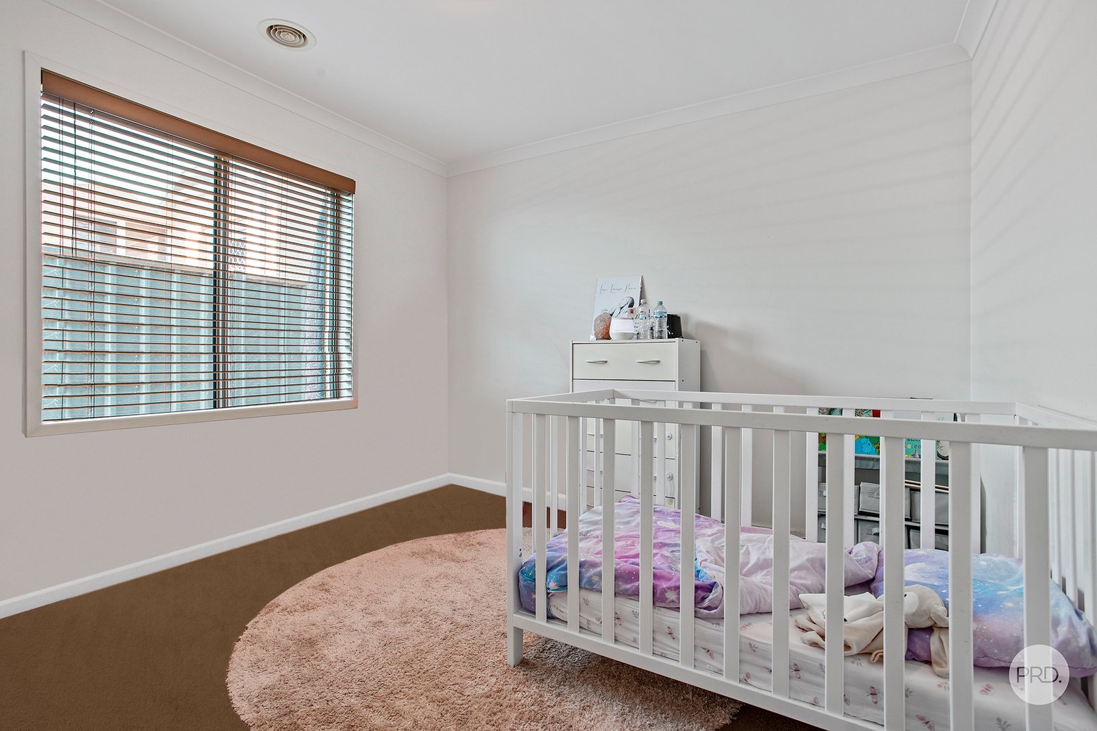 13 Saltbush Street JACKASS FLAT 11
