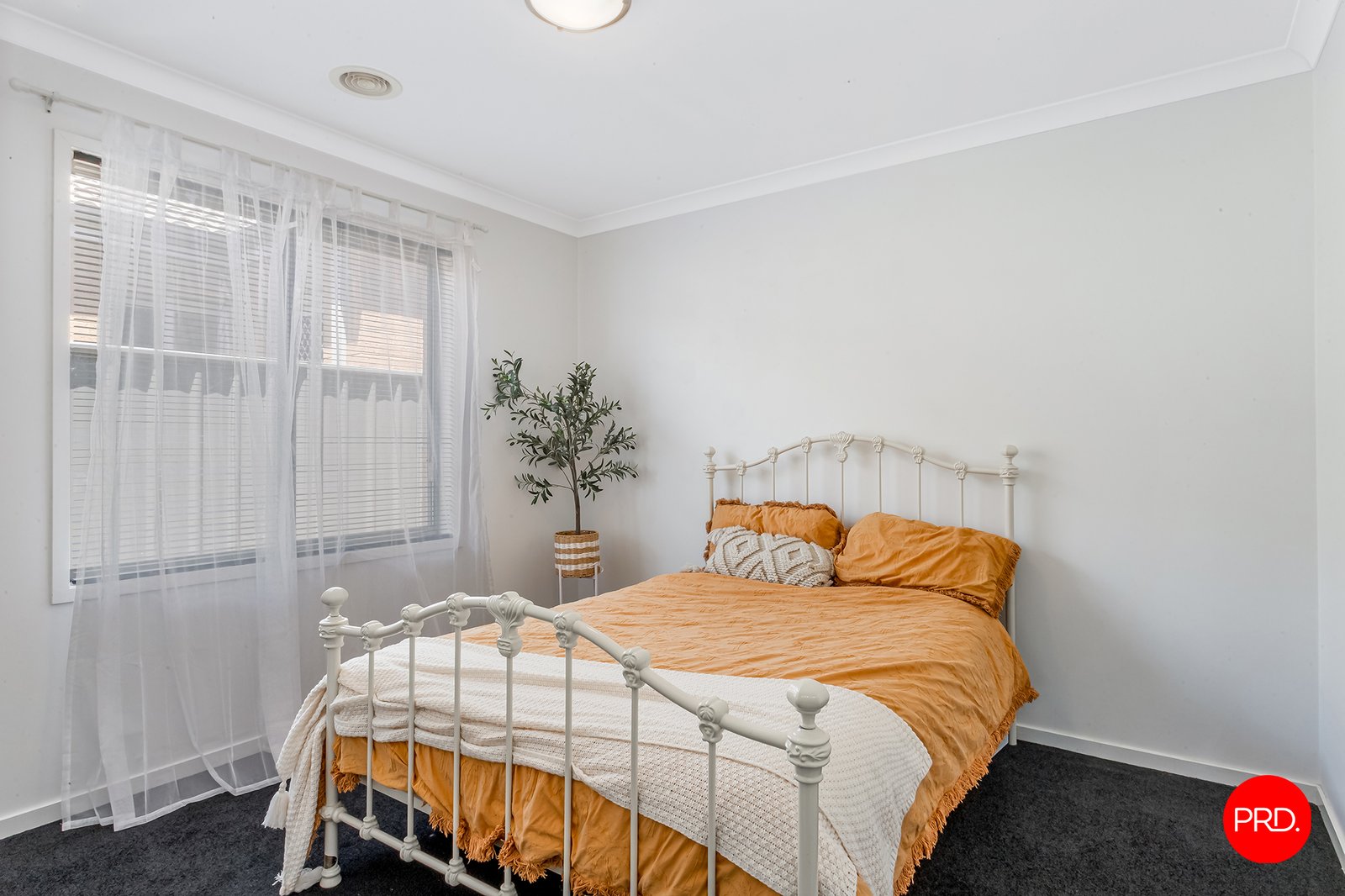 13 Saltbush Street JACKASS FLAT 8