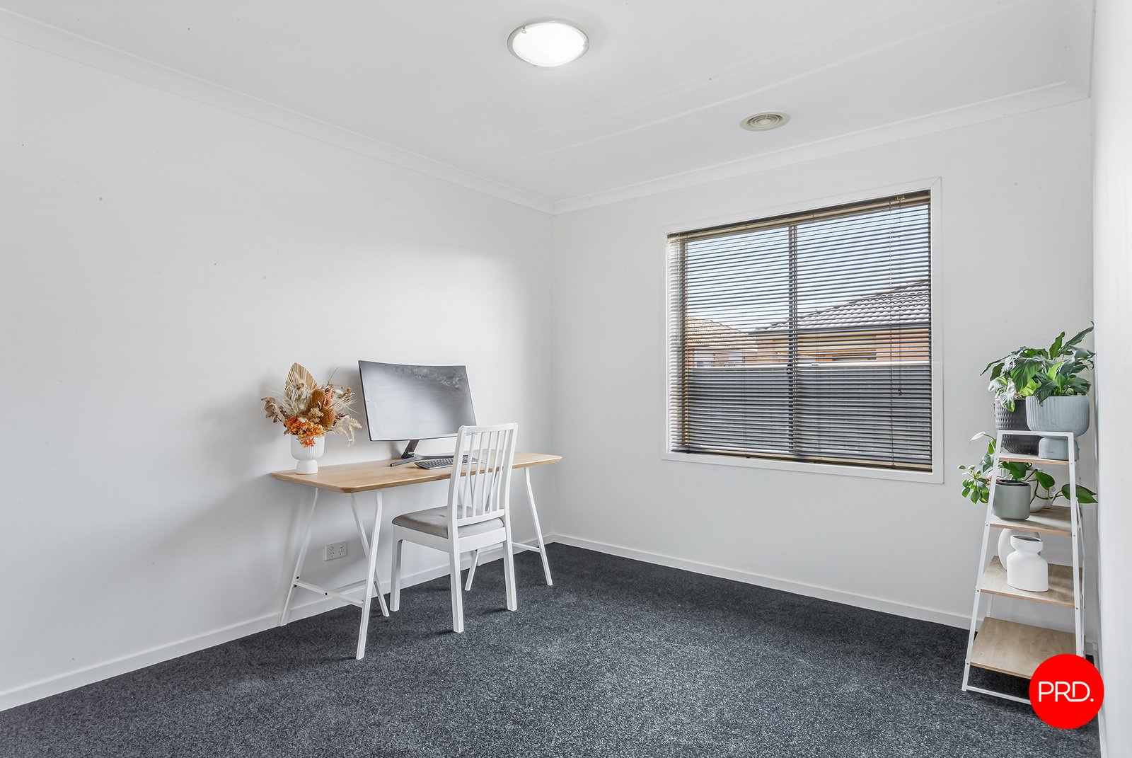 13 Saltbush Street JACKASS FLAT 11