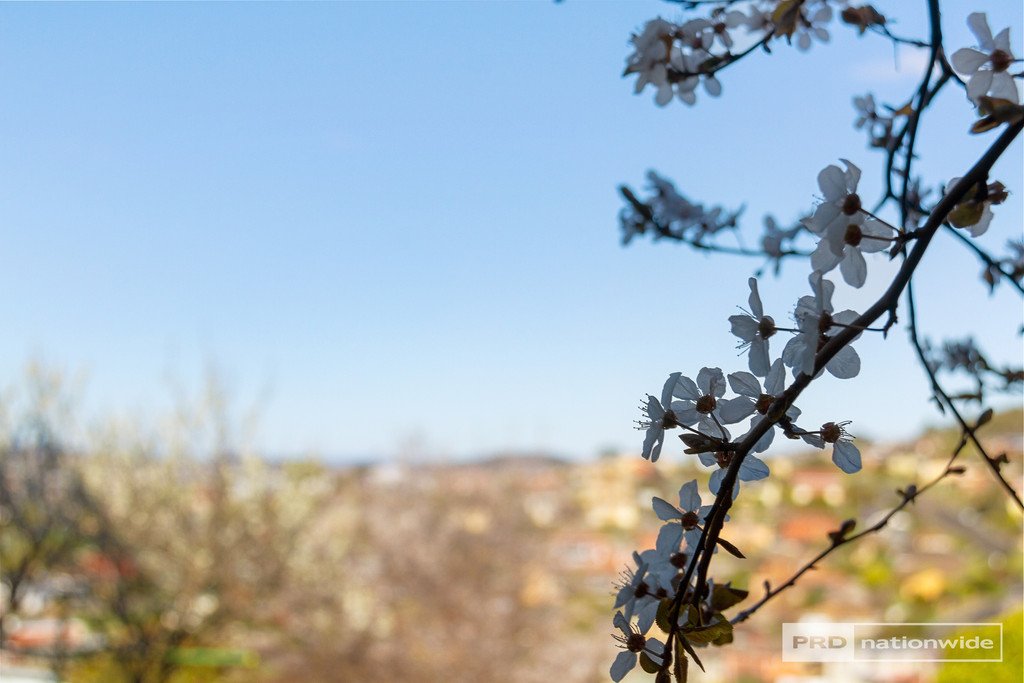 13 Tootonga Street CHIGWELL 18