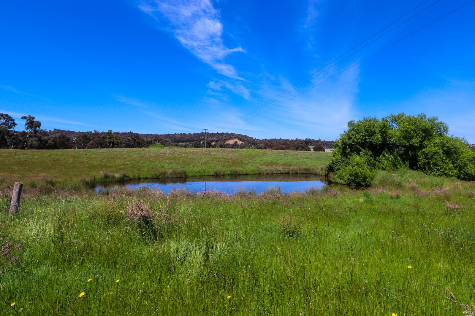 13 Tumbarumba Rd  TUMBARUMBA 1