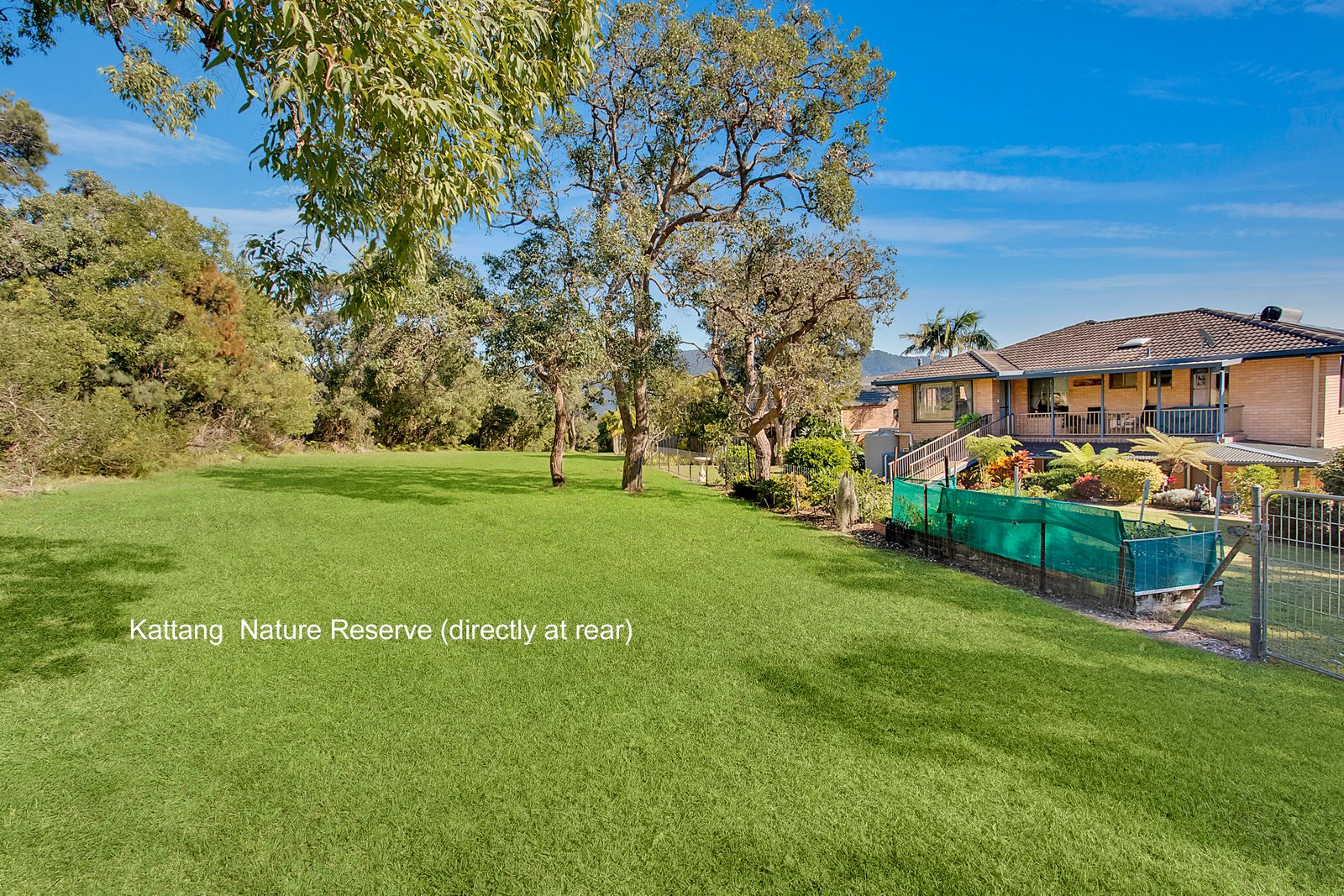 13 Unique Close CAMDEN HEAD 20