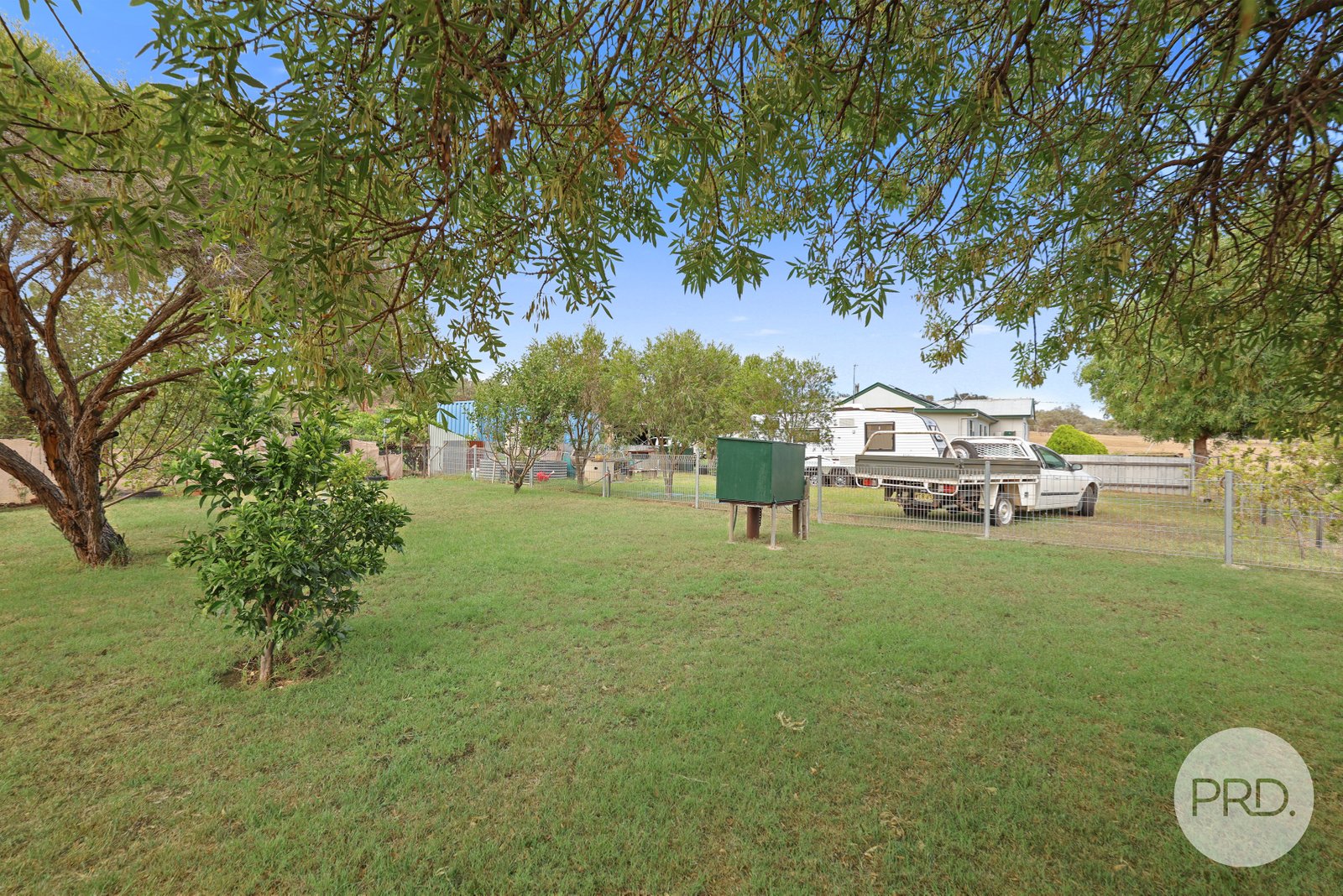 13 Warrah Street WILLOW TREE 19