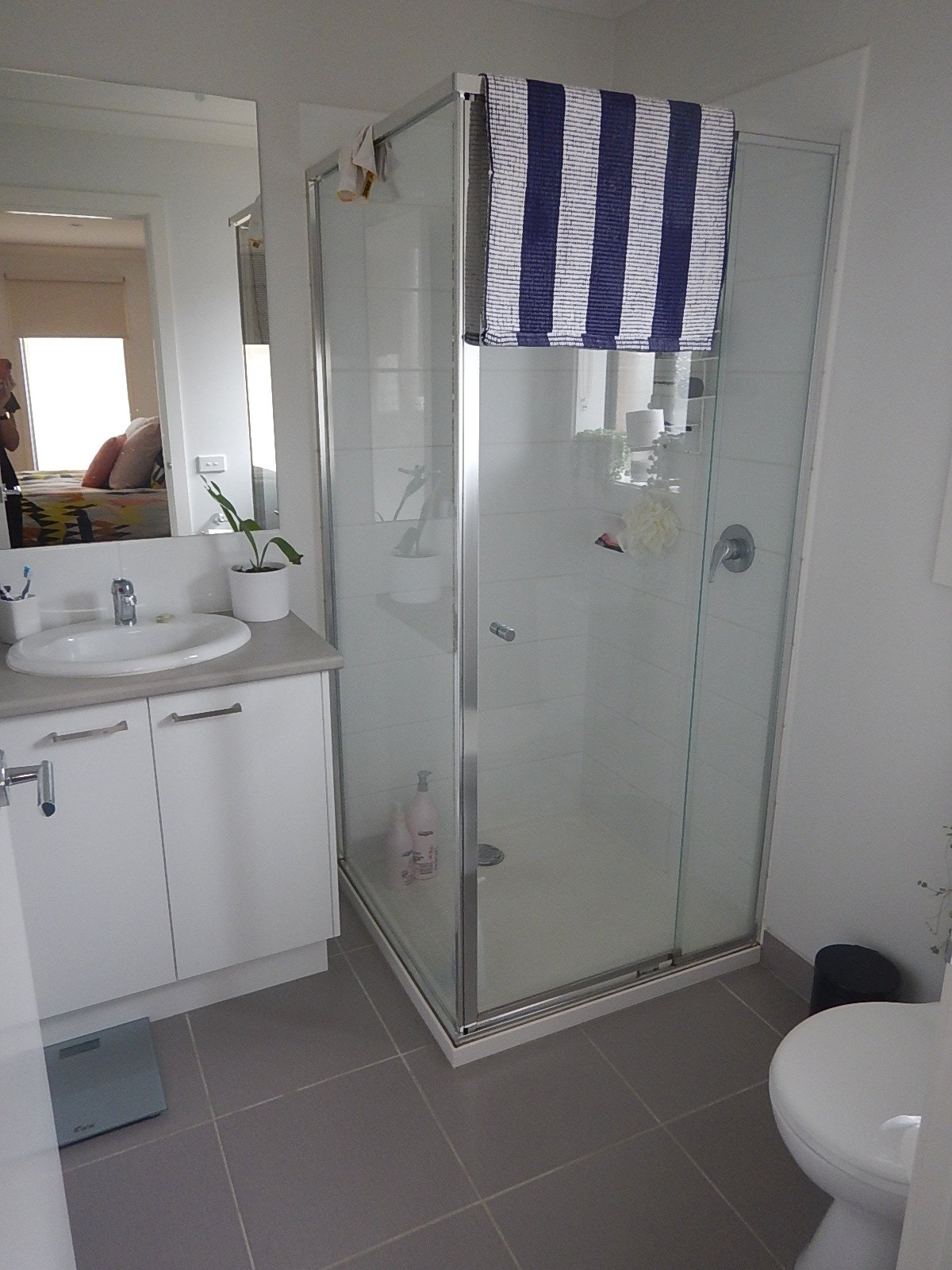 13 Wilmott Street ALFREDTON 7