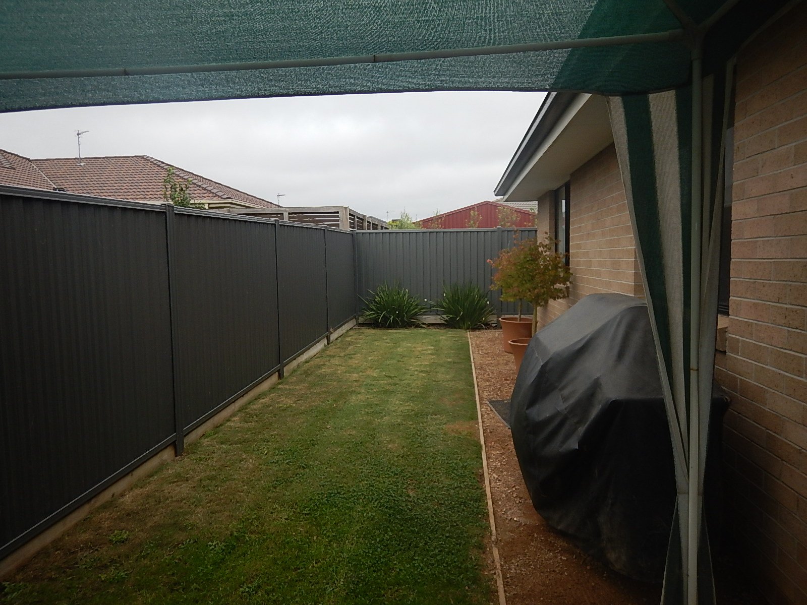 13 Wilmott Street ALFREDTON 14