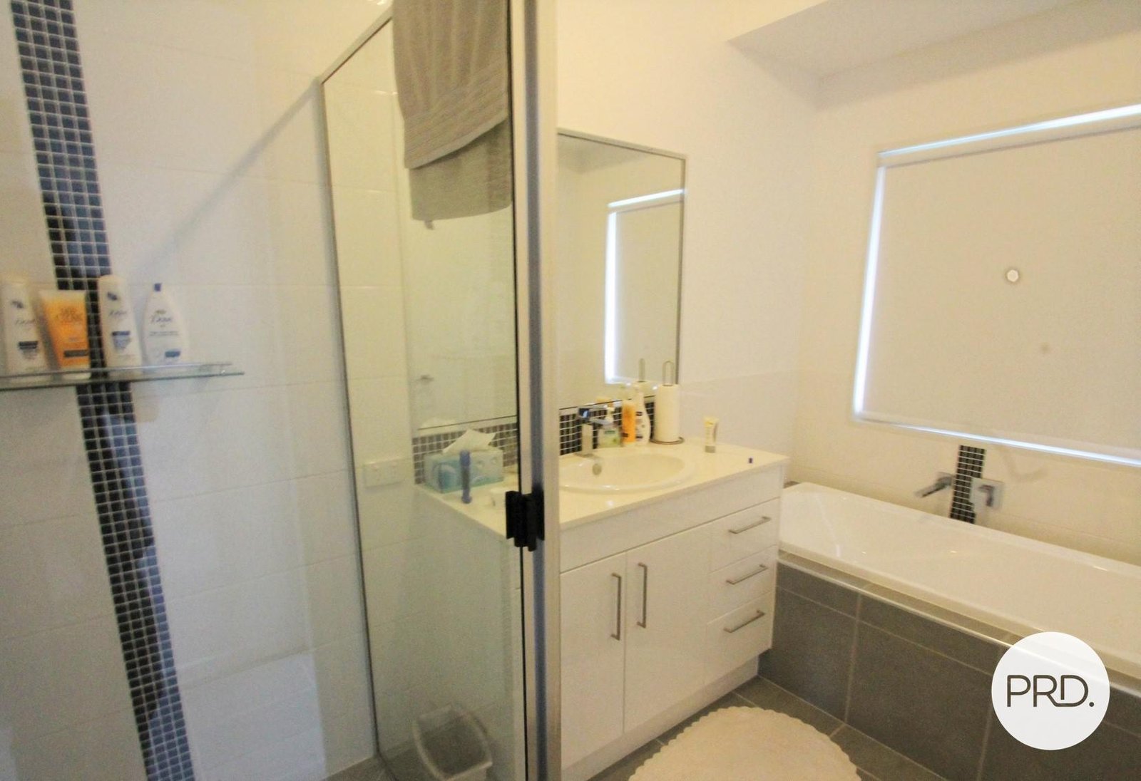 13 WINDJANA Court NEW AUCKLAND 8