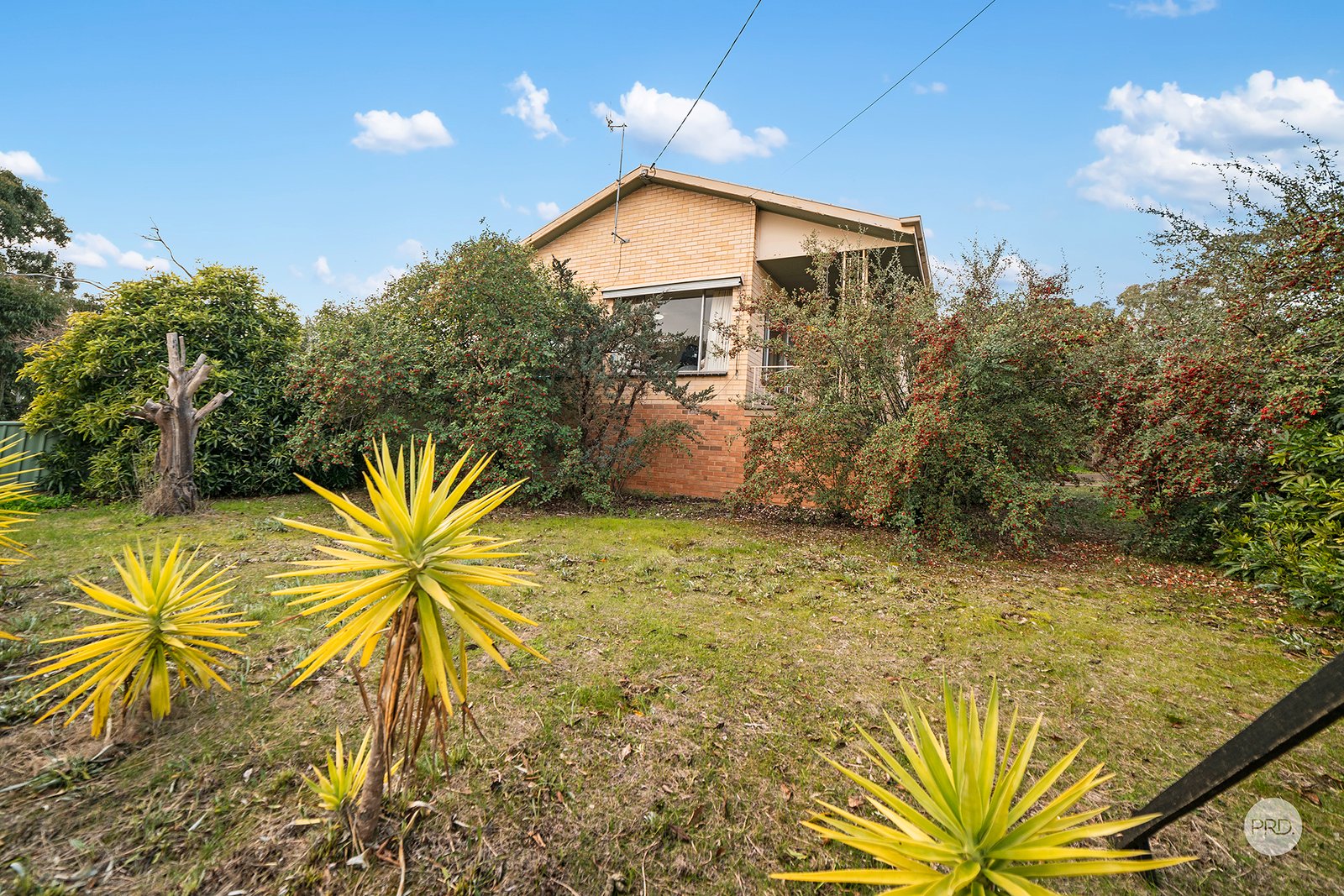 13 Wirth Street FLORA HILL 2