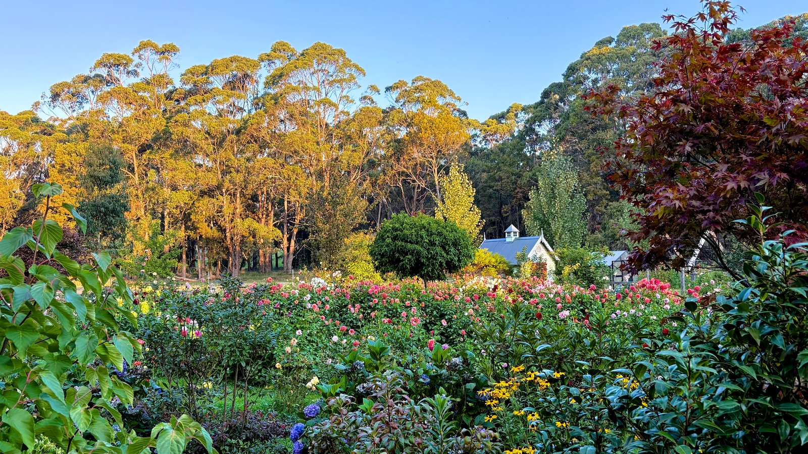 130 Cranneys Lane TRENTHAM 1