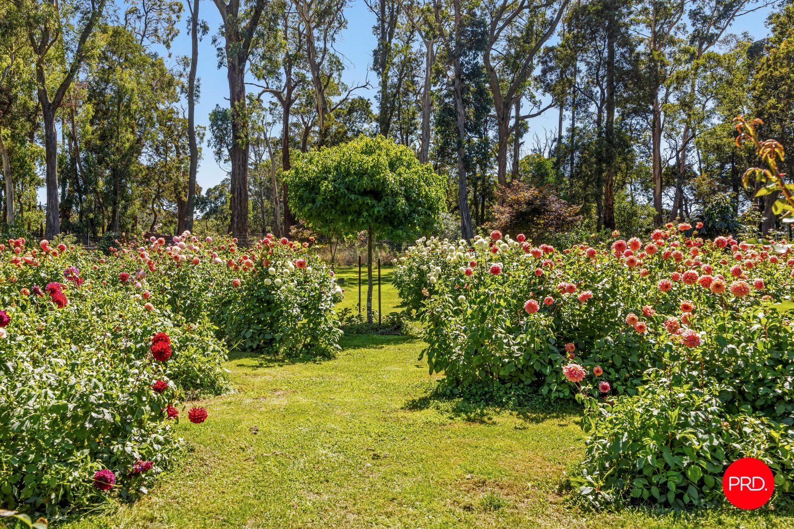 130 Cranneys Lane TRENTHAM 32