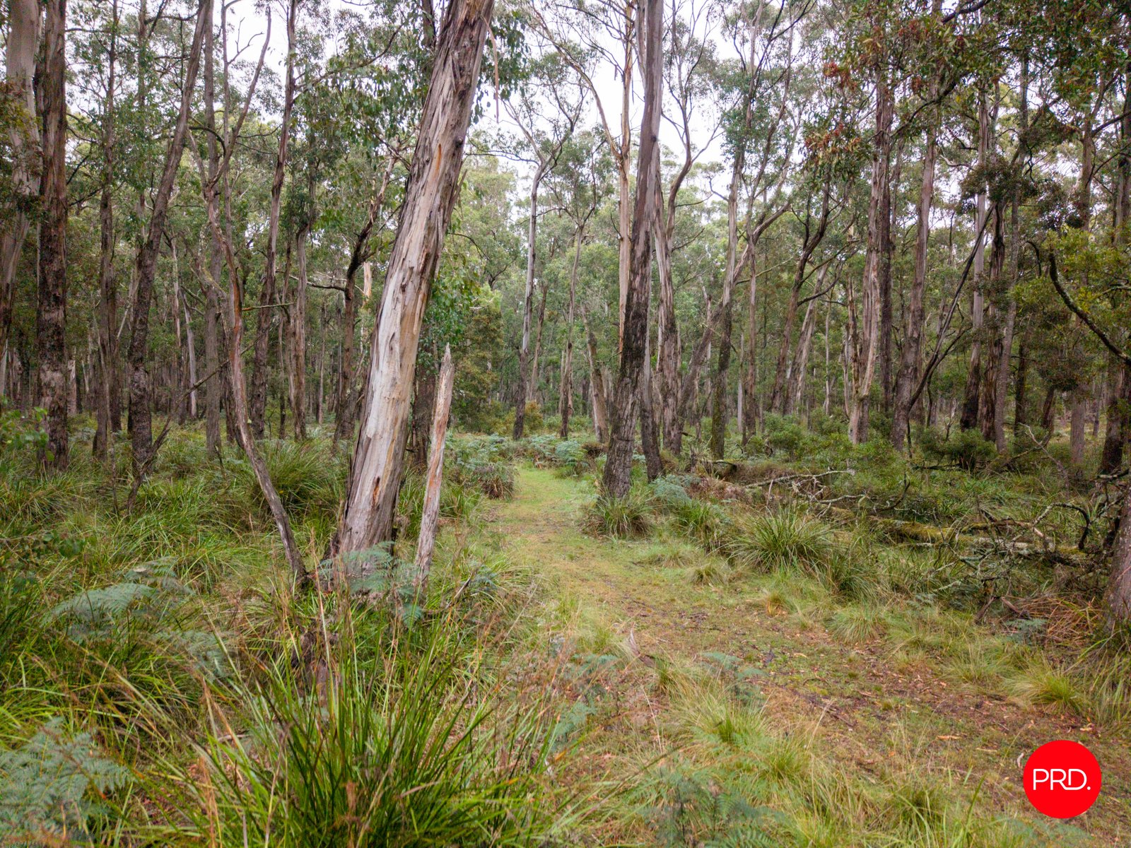 130 Cranneys Lane TRENTHAM 33