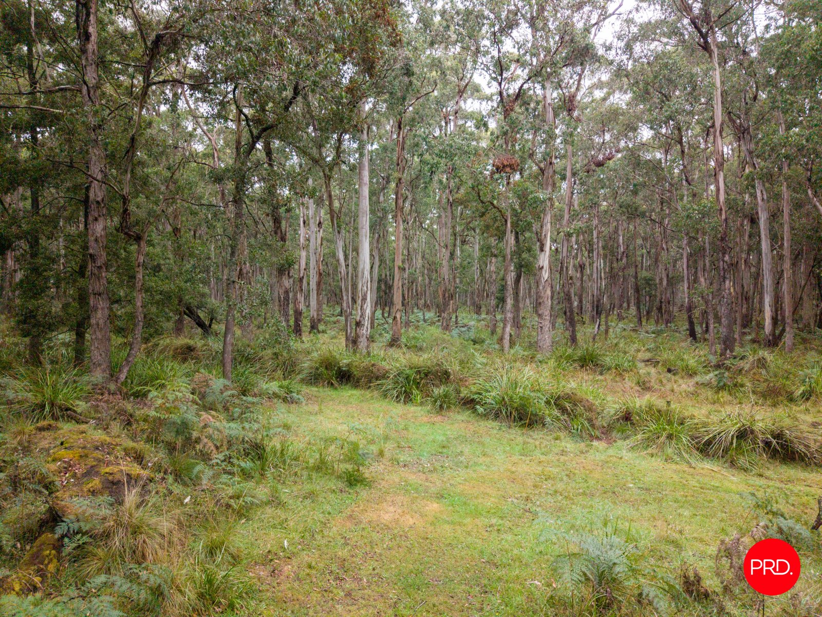 130 Cranneys Lane TRENTHAM 34
