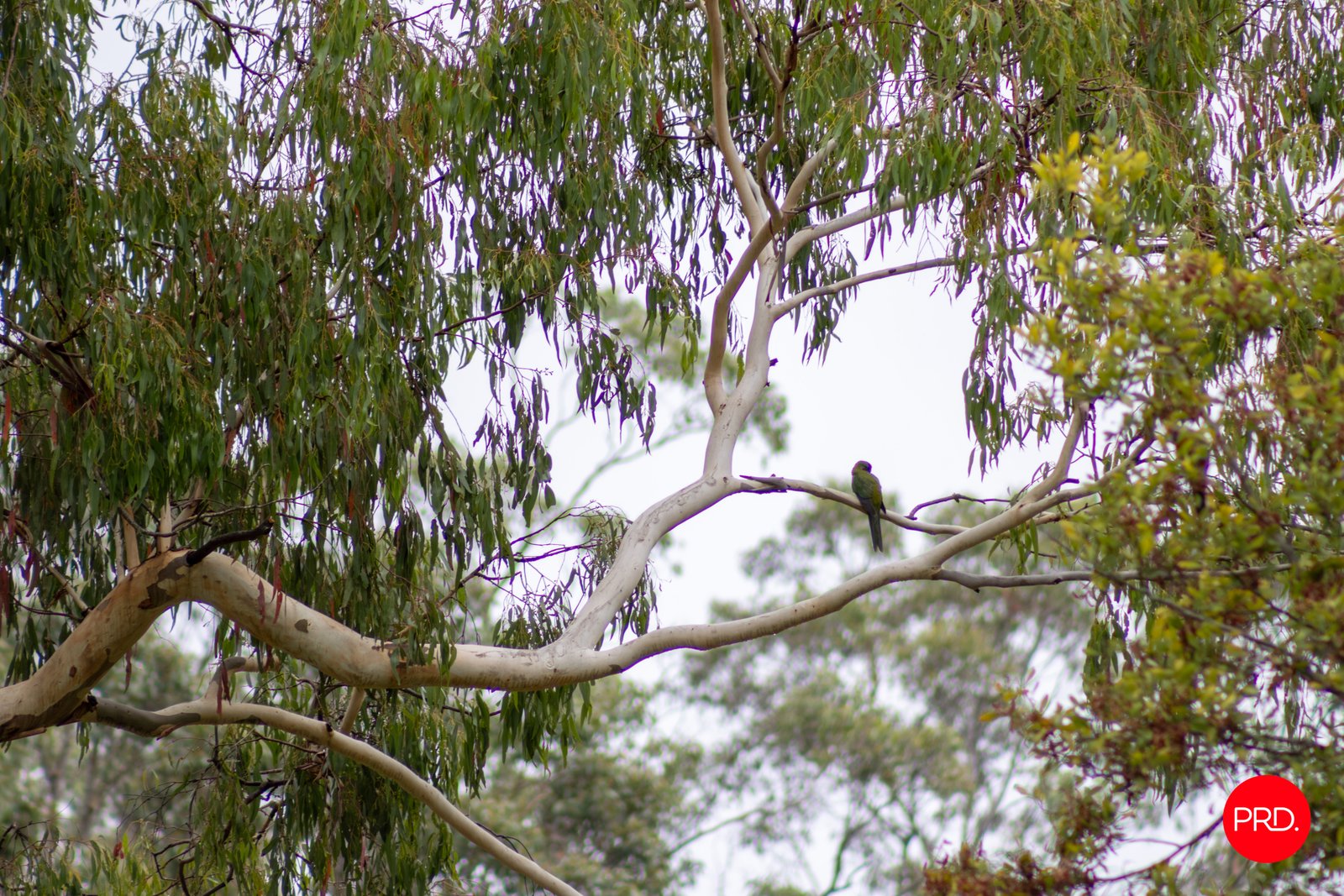 130 Cranneys Lane TRENTHAM 35