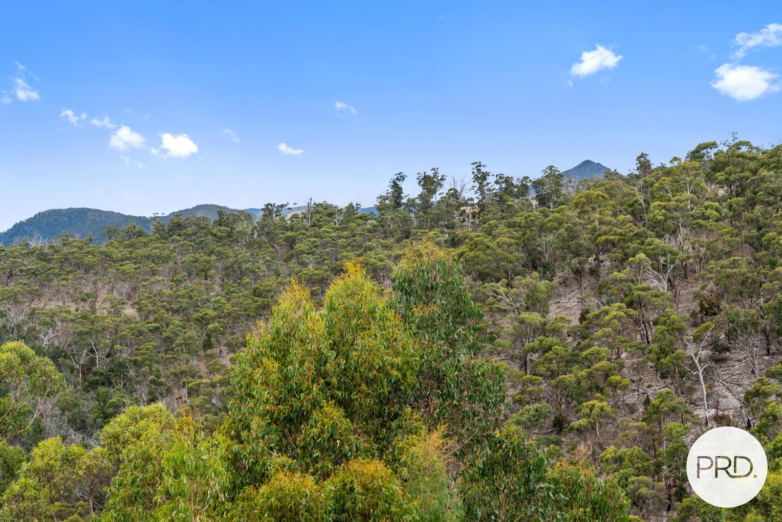 130 Haney Road LACHLAN 27