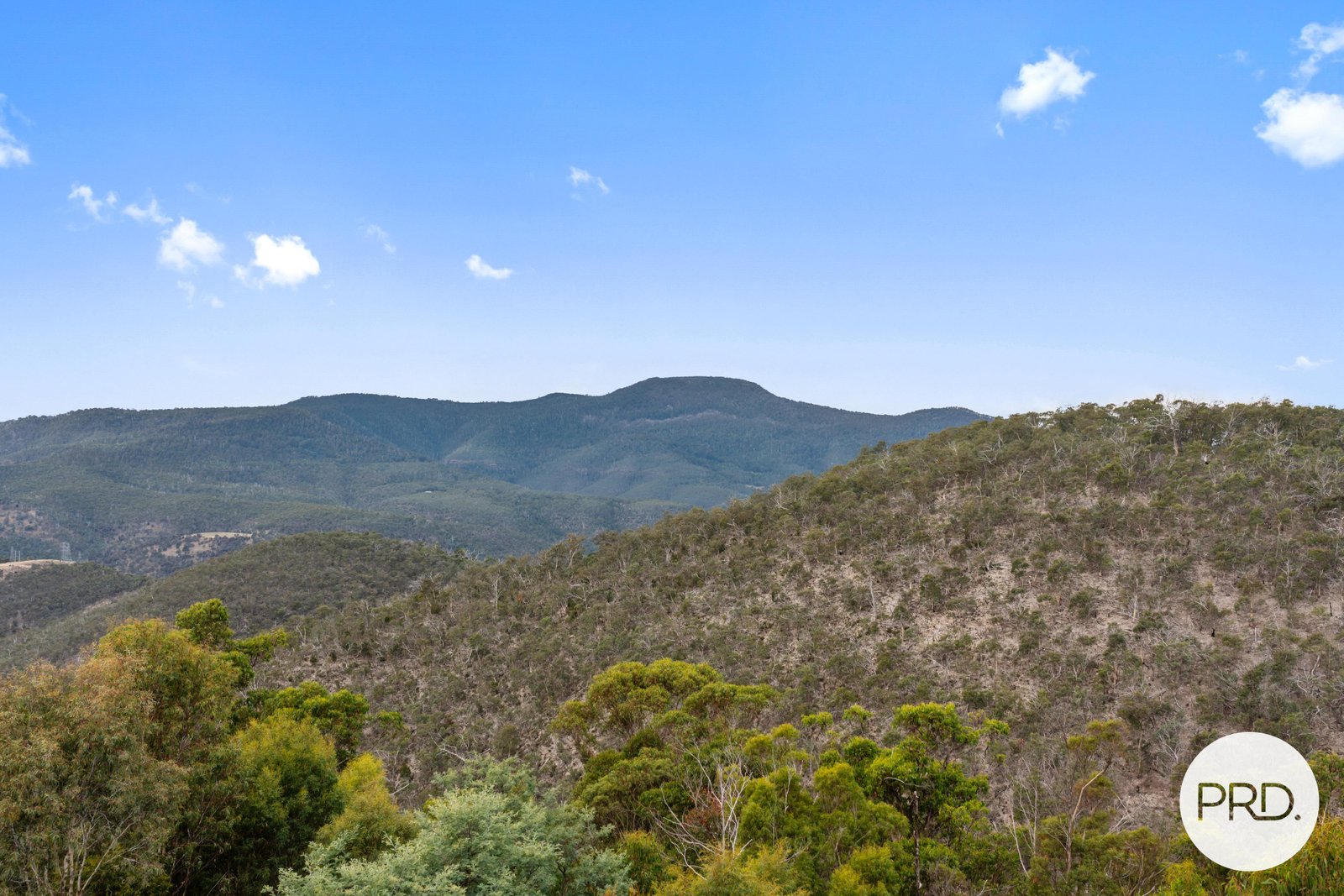 130 Haney Road LACHLAN 31