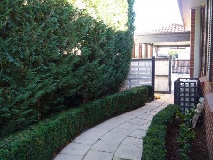 Gallery: 1/30 Ivy Street