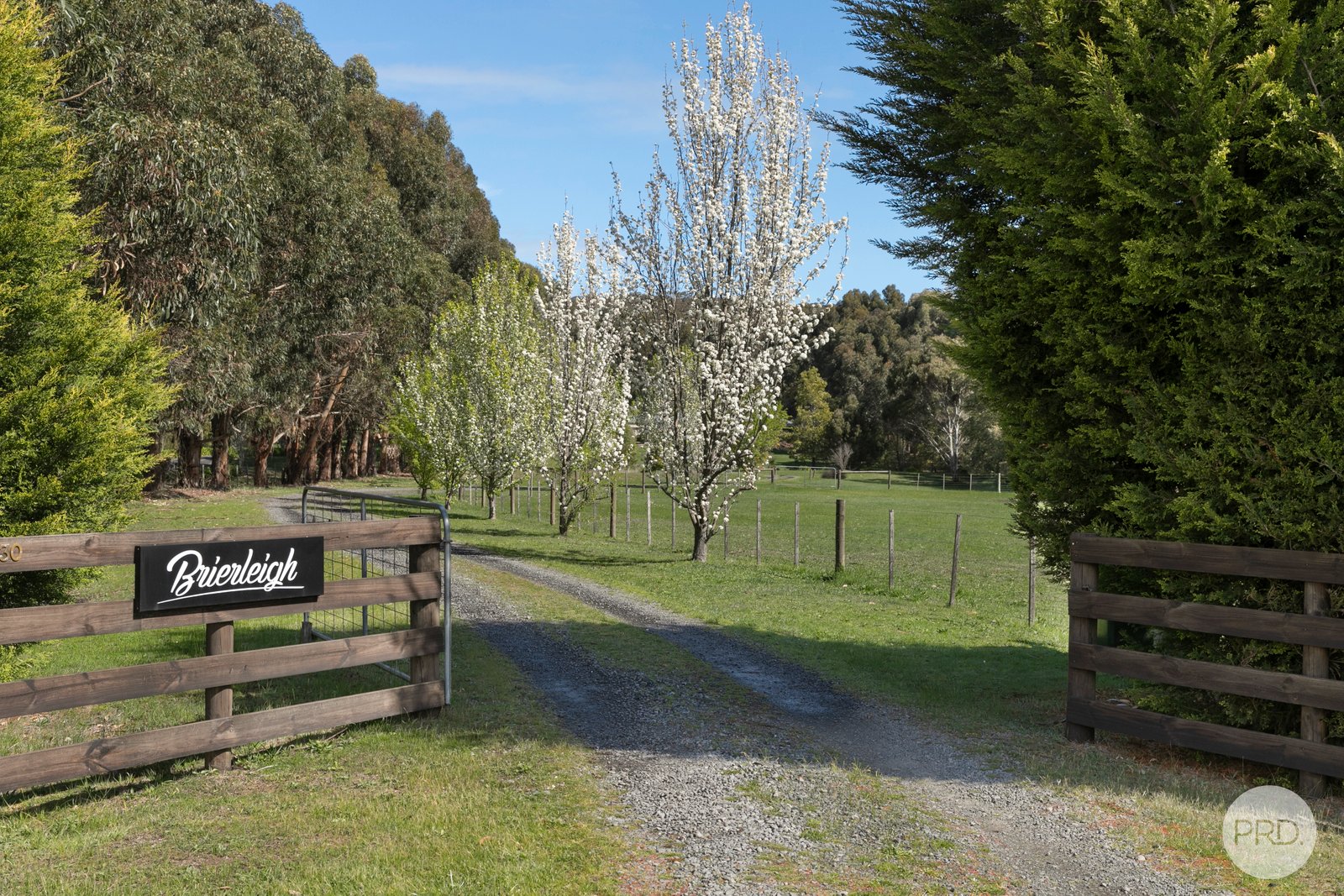 130 White Swan Road INVERMAY 21