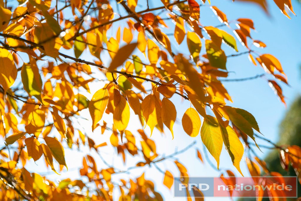 130 Wilsons Road HADDON 3