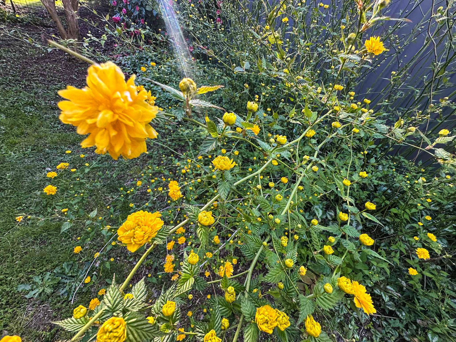 1/30 Winton Street TUMBARUMBA 13