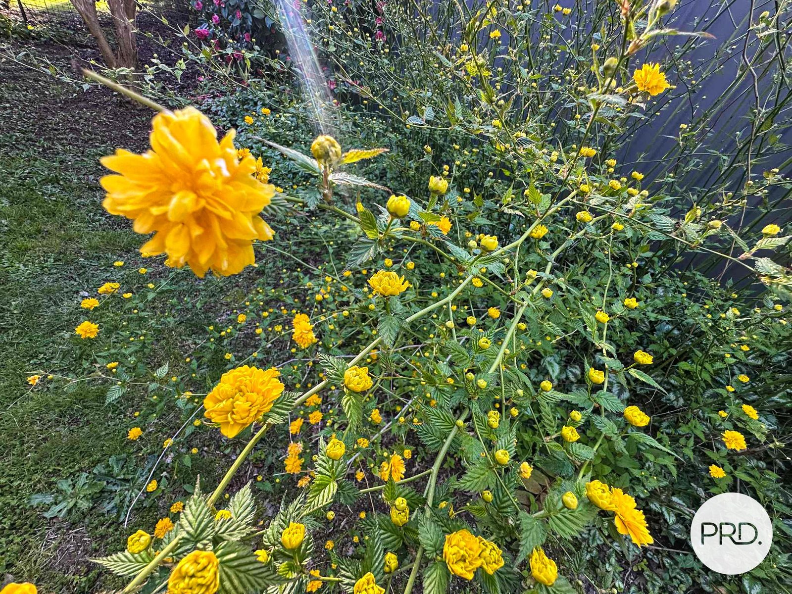 1/30 Winton Street TUMBARUMBA 13