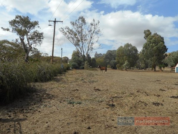 1308 Brungle Road BRUNGLE 7