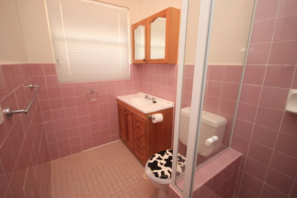 131 Alfred Street SANS SOUCI 6