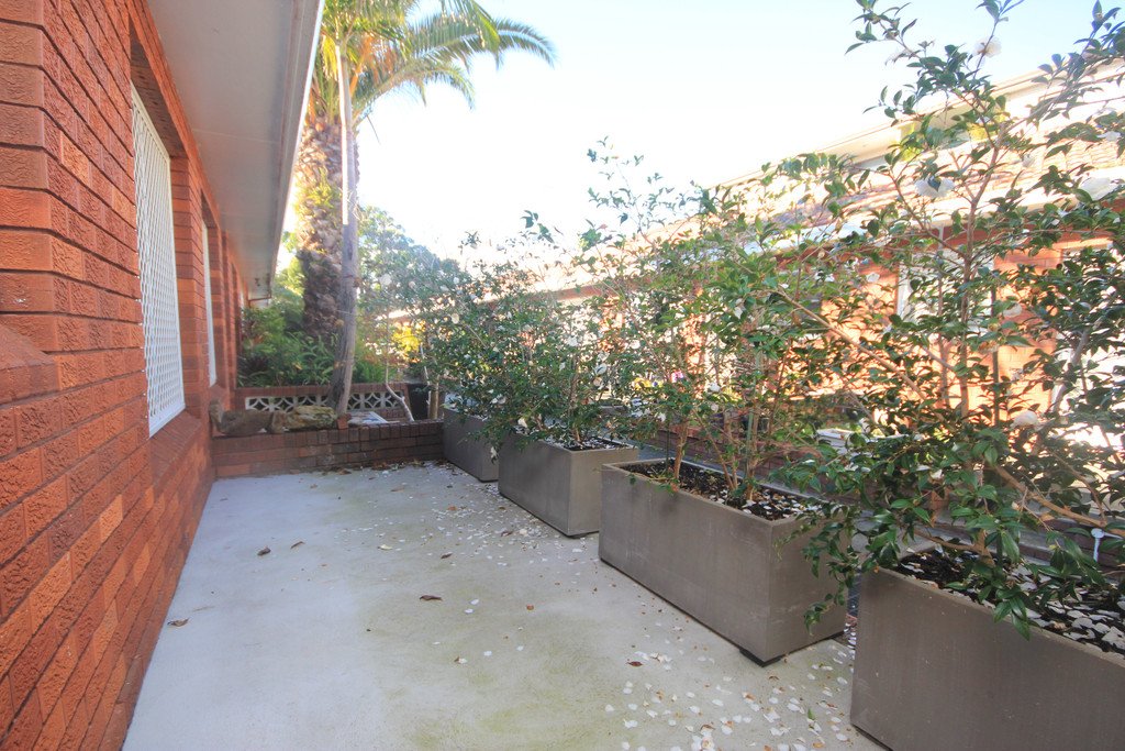 131 Alfred Street SANS SOUCI 8