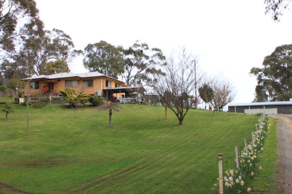 131 Batlow Road TUMBARUMBA 1