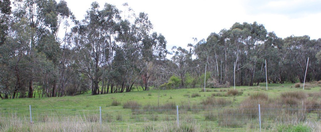 131 Batlow Road TUMBARUMBA 2