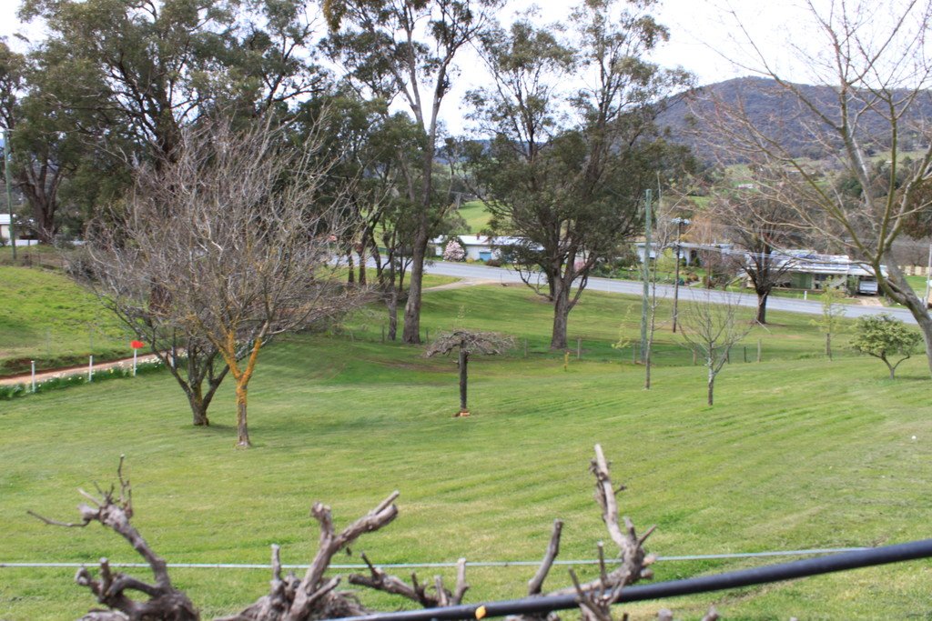 131 Batlow Road TUMBARUMBA 3
