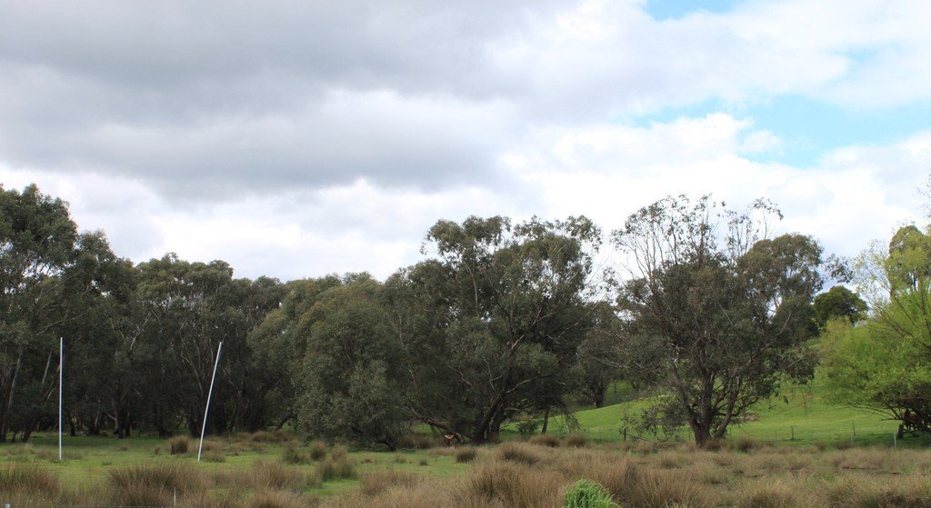 131 Batlow Road TUMBARUMBA 15